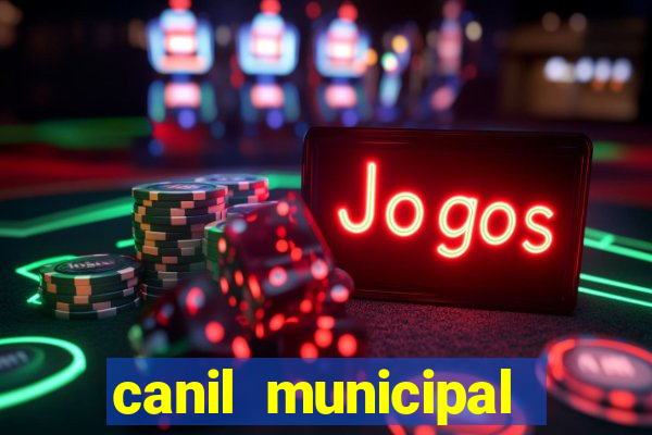 canil municipal porto alegre